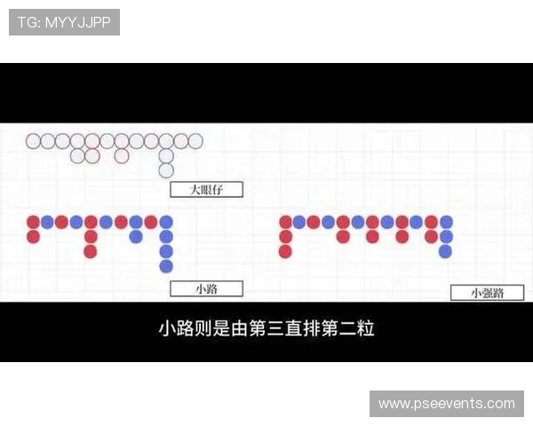 掌握百家乐路单的观察要点，帮助玩家科学分析游戏走势实现盈利目标